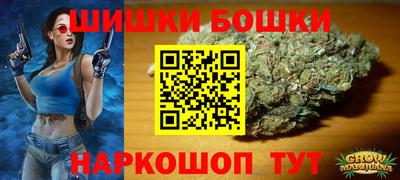 бошки Будённовск