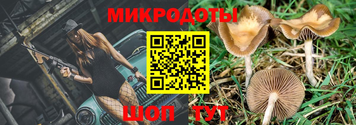 Псилоцибиновые грибы Magic Shrooms Маркс